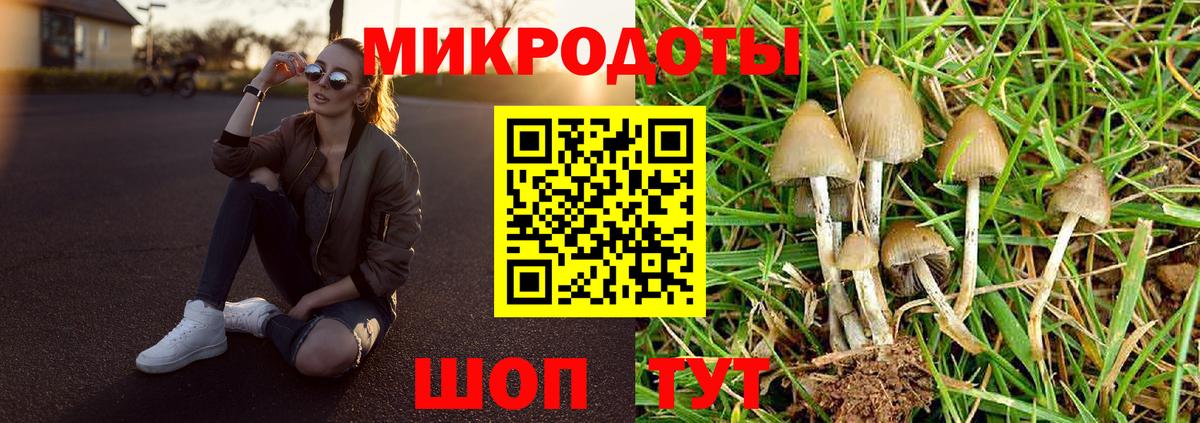 Валуйки  Галлюциногенные грибы ЛСД  Вход с VPN 