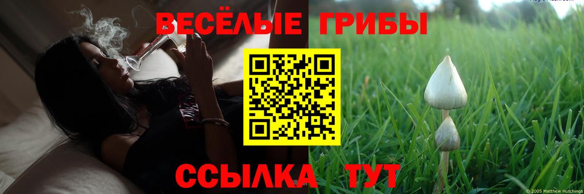 Псилоцибиновые грибы мицелий Валуйки